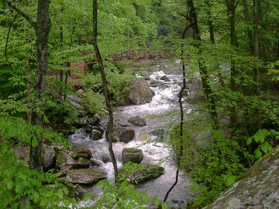 [The water flow snakes down the incline through the many large square rocks. This view is taken through the leafy trees at a level above the water. The bridge is metal with brick bridge supports at the water's banks.]